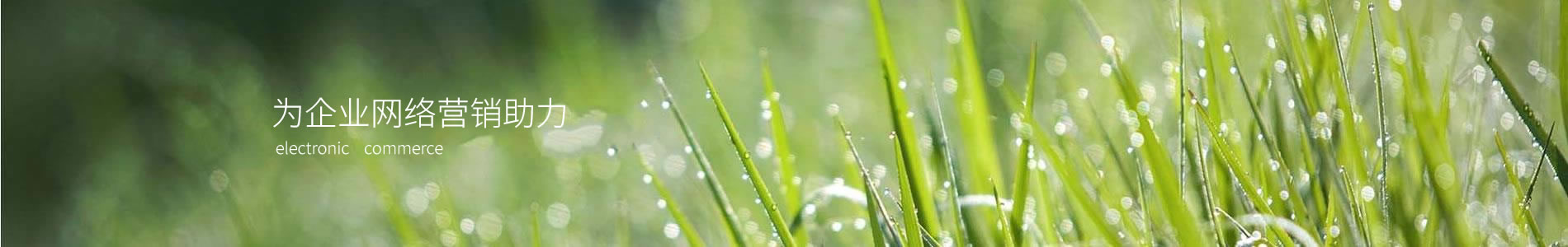 ݻ㴨޹˾